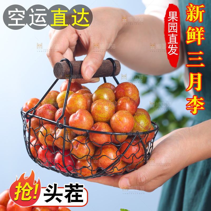手里端着一篮红李子