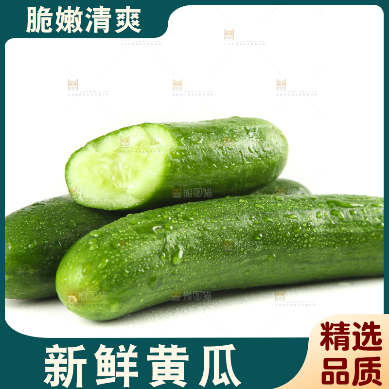 白底上摆放着山东水果黄瓜
