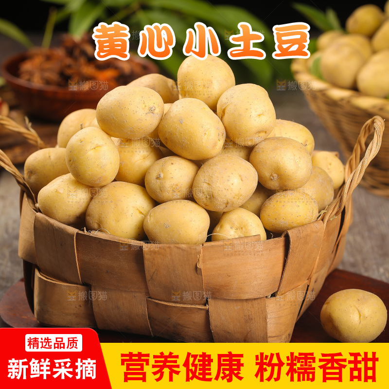 一篮黄皮小土豆