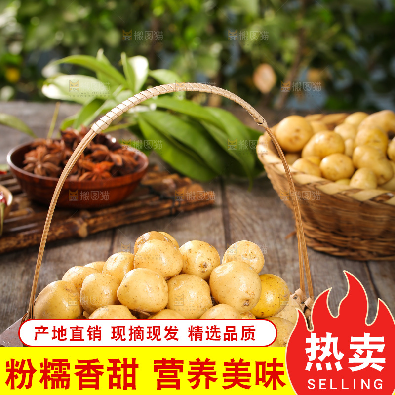 一篮新鲜小土豆