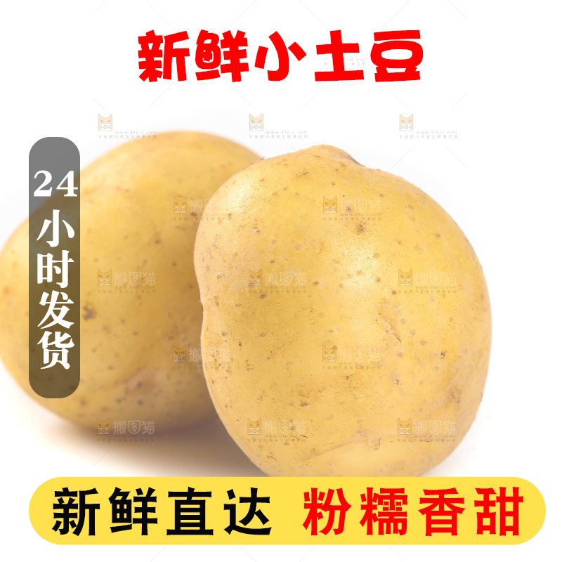 白底上的黄皮小土豆