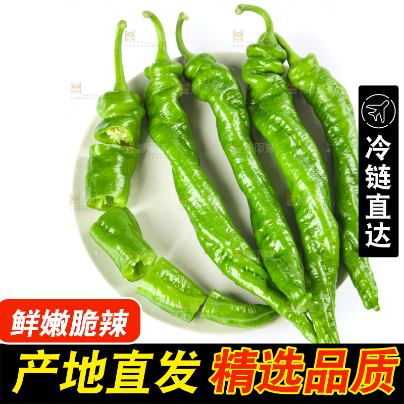 盘子里的螺丝辣椒