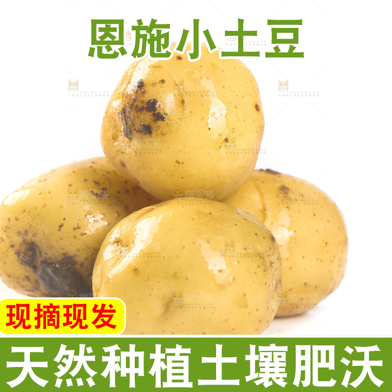 白底上放着黄心小土豆
