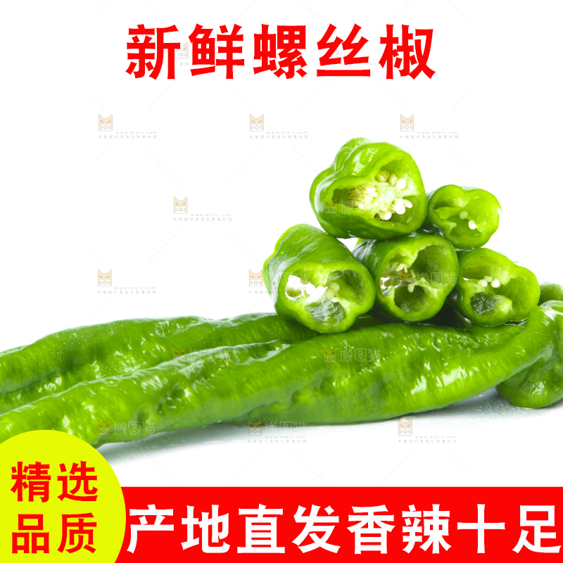 白底上摆放着青螺丝椒