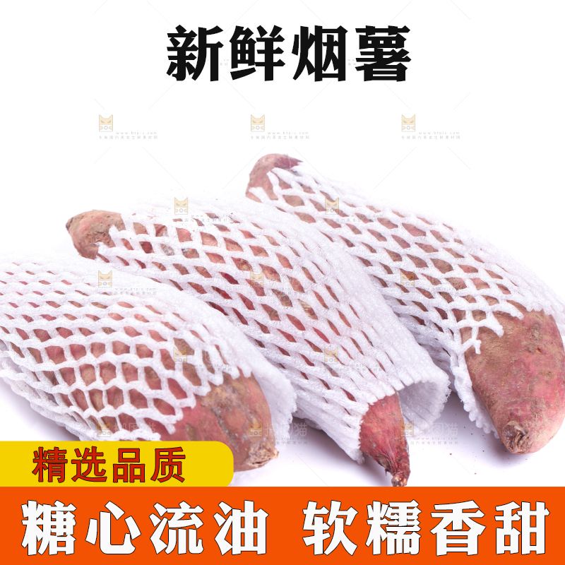 白底上蜜署