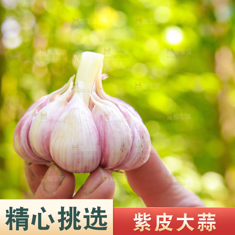手里拿着大蒜