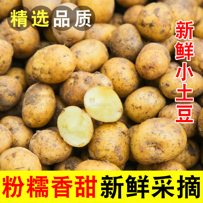 小土豆纹理