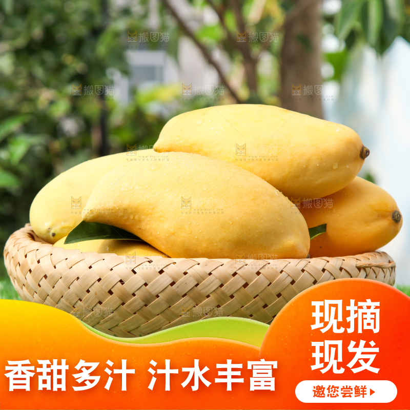 绿草地上放着一篮鹰嘴芒果
