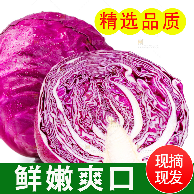 白底上的紫甘蓝