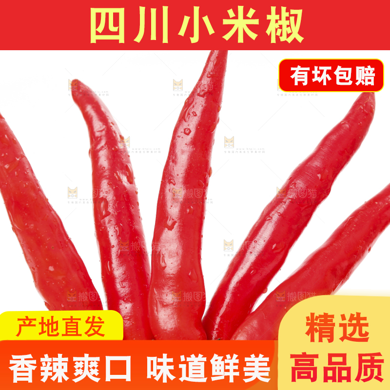 手里拿着小尖椒