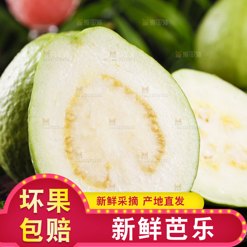 黑底上的番石榴