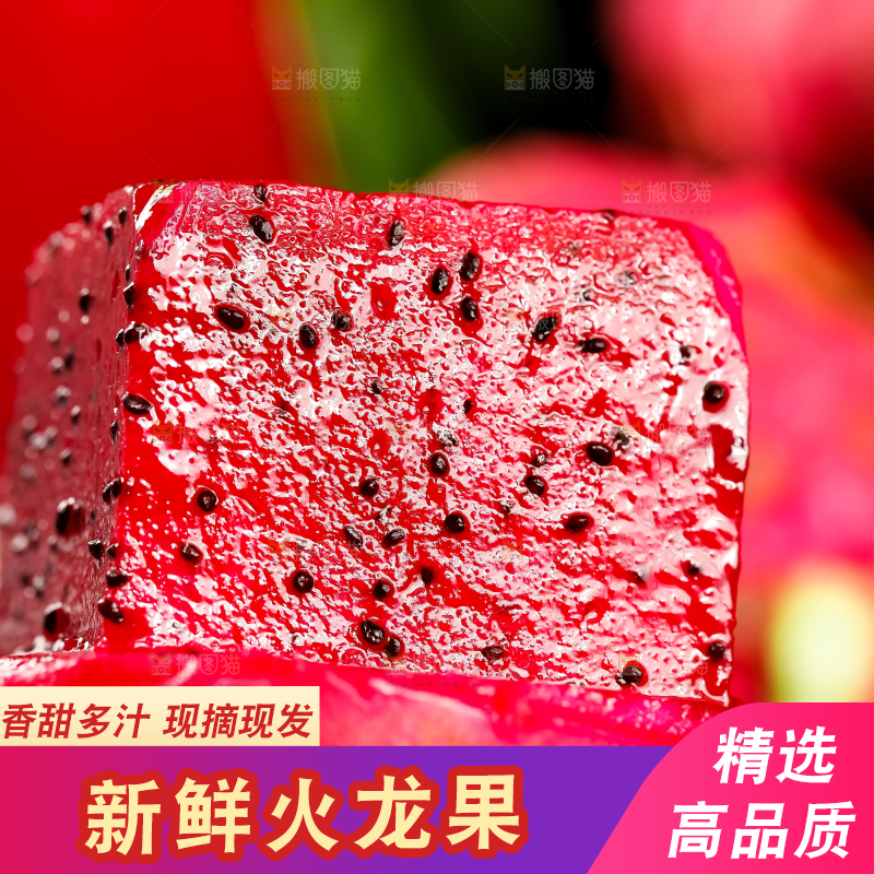 深底上的金都一号红心火龙果