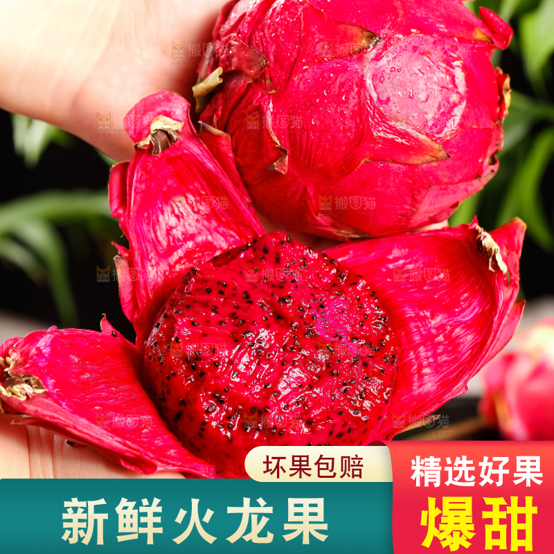 深底上的金都一号红心火龙果