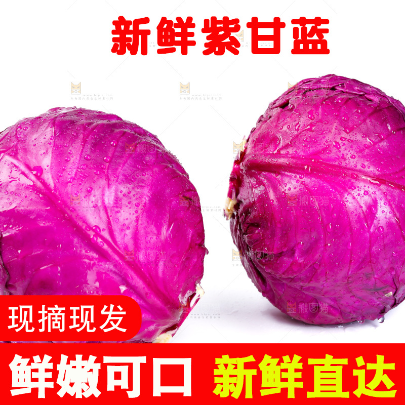 白底上的紫甘蓝