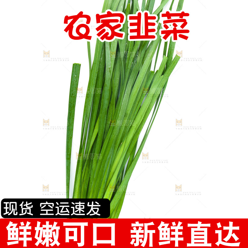 白底上的一把韭菜