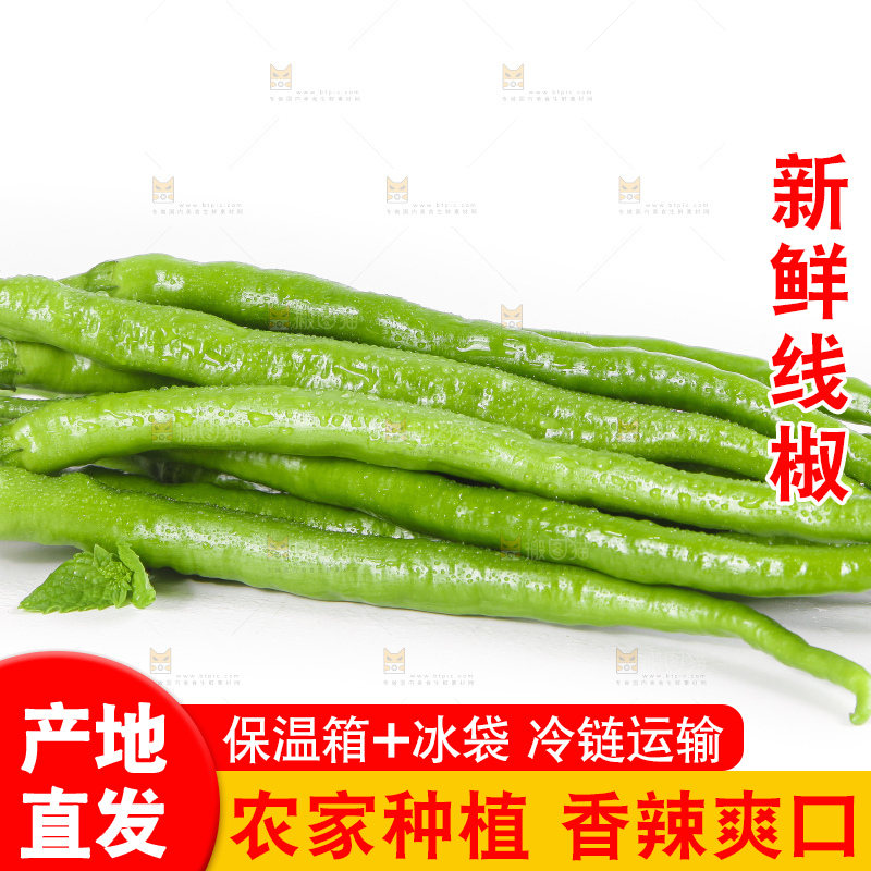 白底上的青线椒