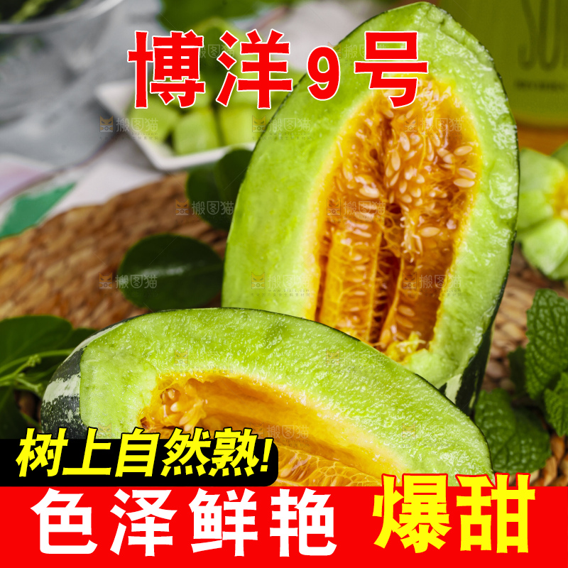 编织垫上放着博洋9号甜瓜