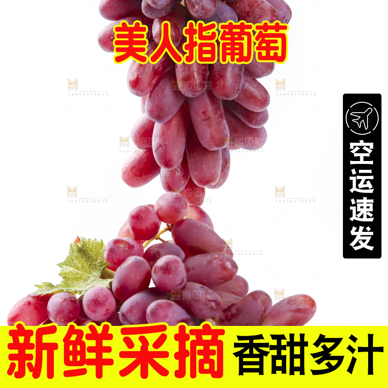 白底上放着美人指葡萄