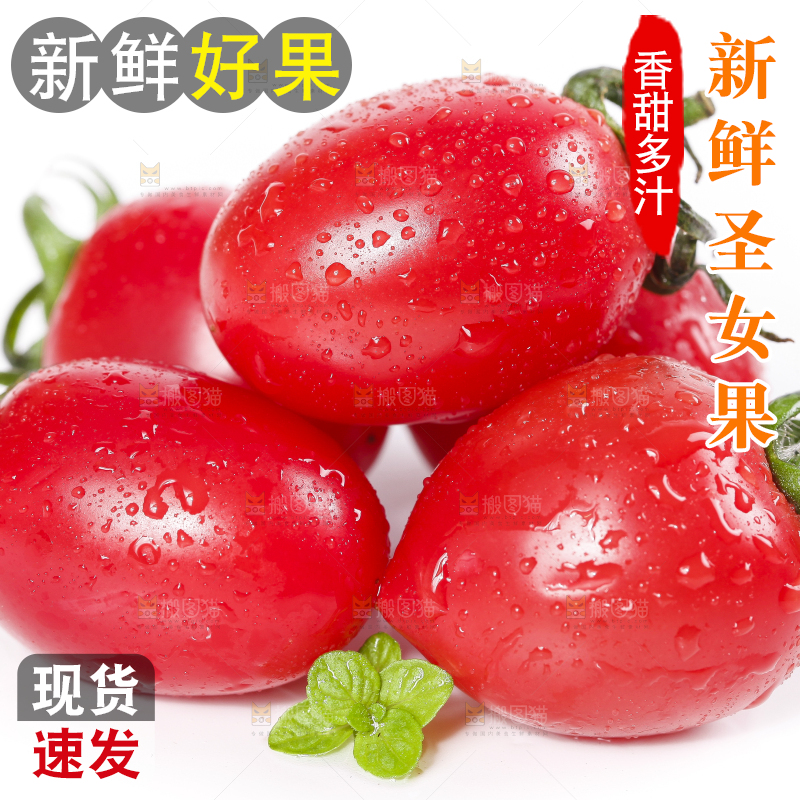 白底上摆放着新鲜圣女果