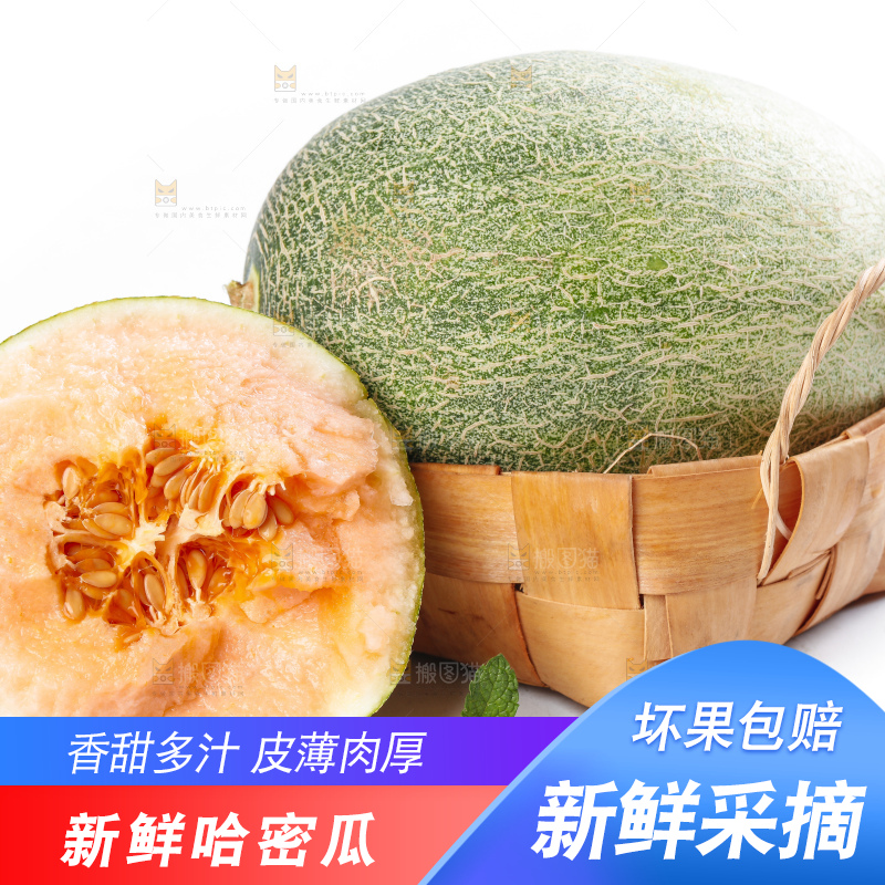 白底上放着新疆哈密瓜
