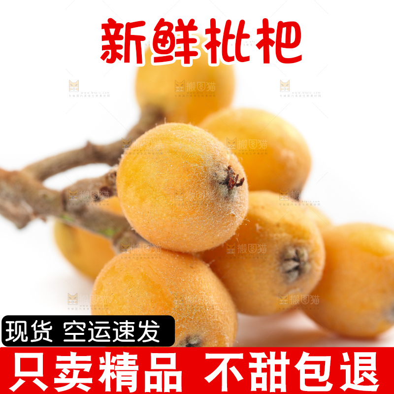白底上放着云南蒙自枇杷