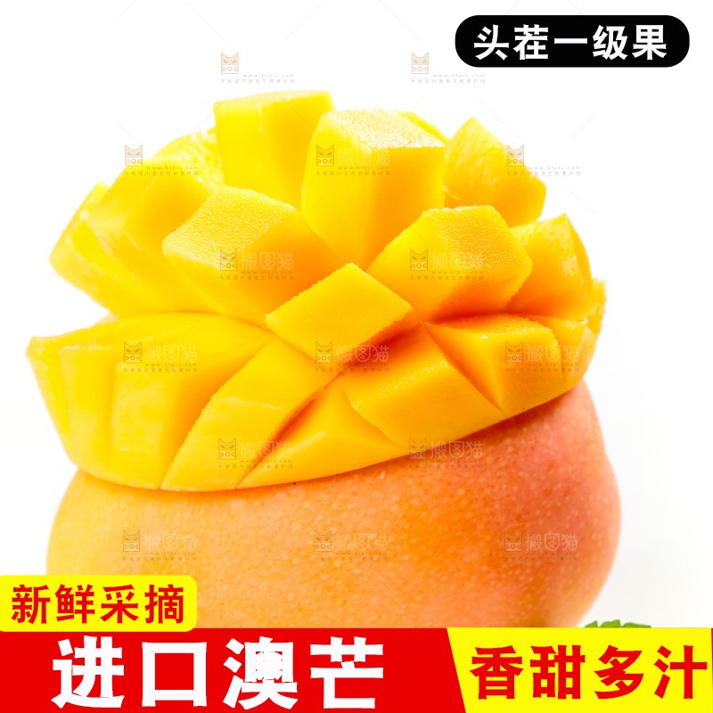 白底上摆放着越南澳芒