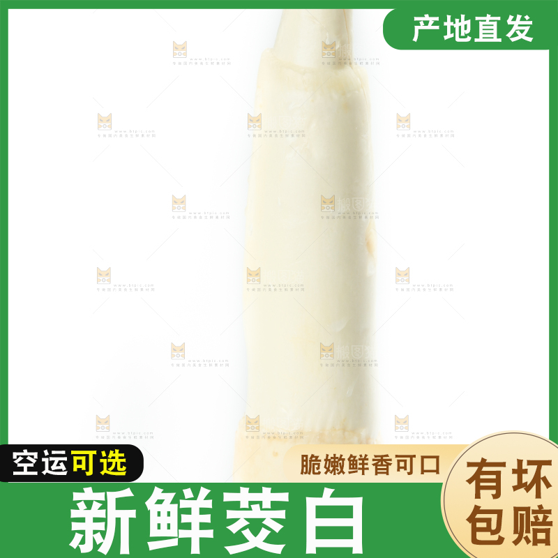 白底上放着茭白