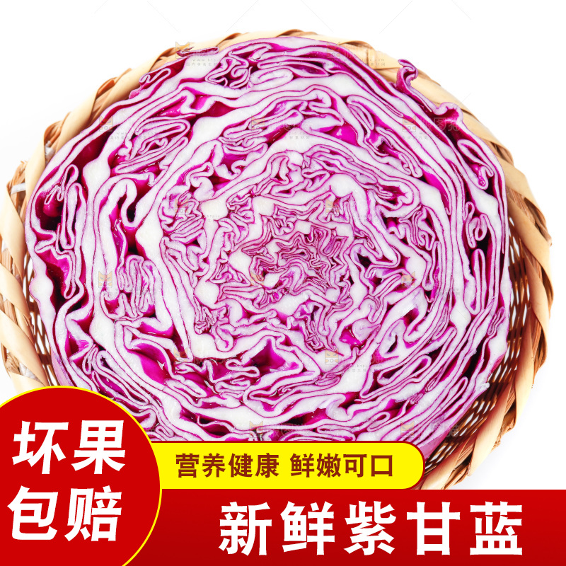 白底上放着甘蓝