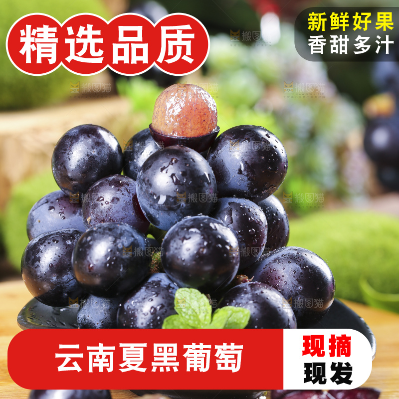木底上摆放着夏黑无籽葡萄