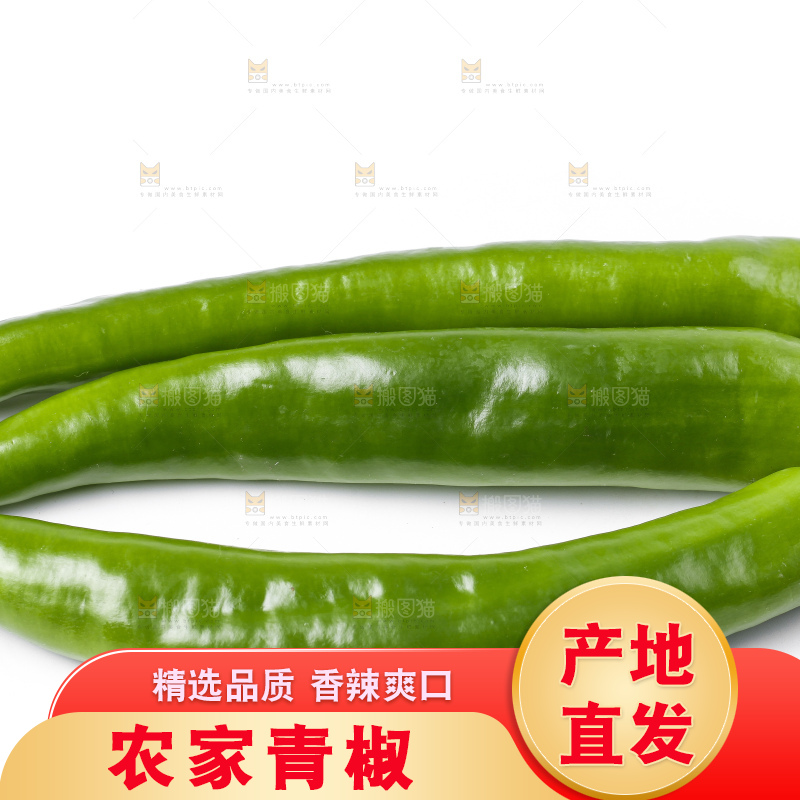 白底上放着新鲜青椒
