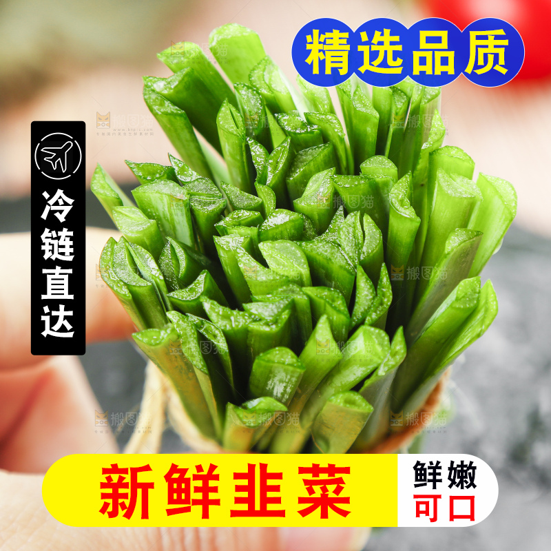 手里拿着一把韭菜