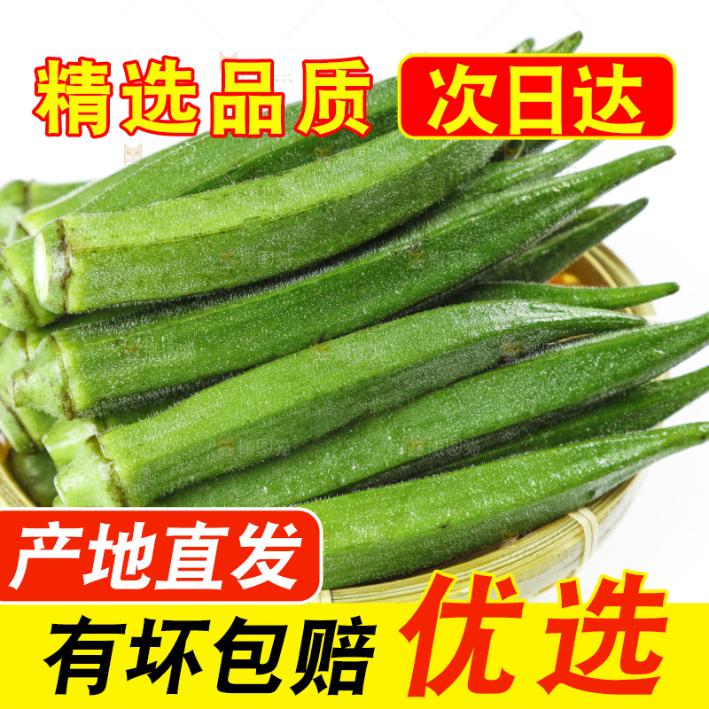 篮子里装着山东新鲜秋葵