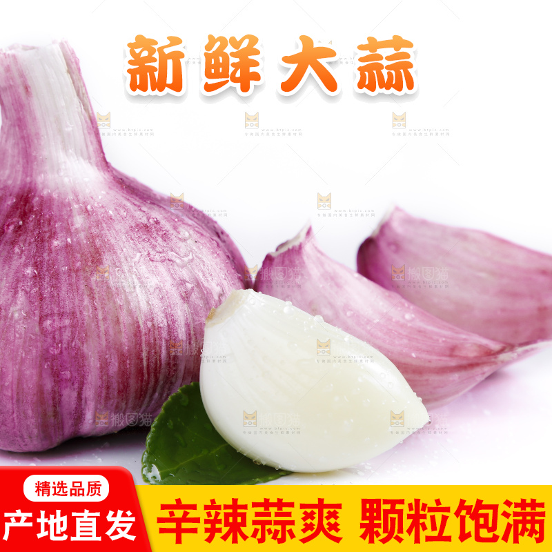 白底上放着新鲜的云南紫皮大蒜