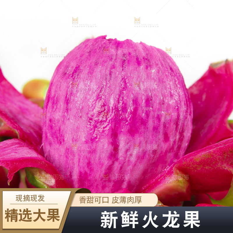 白底上放着云南红心火龙果