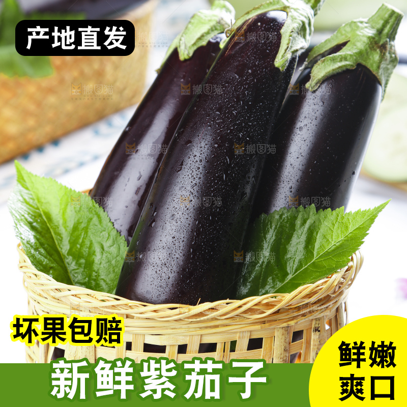 篮子里装着紫茄子