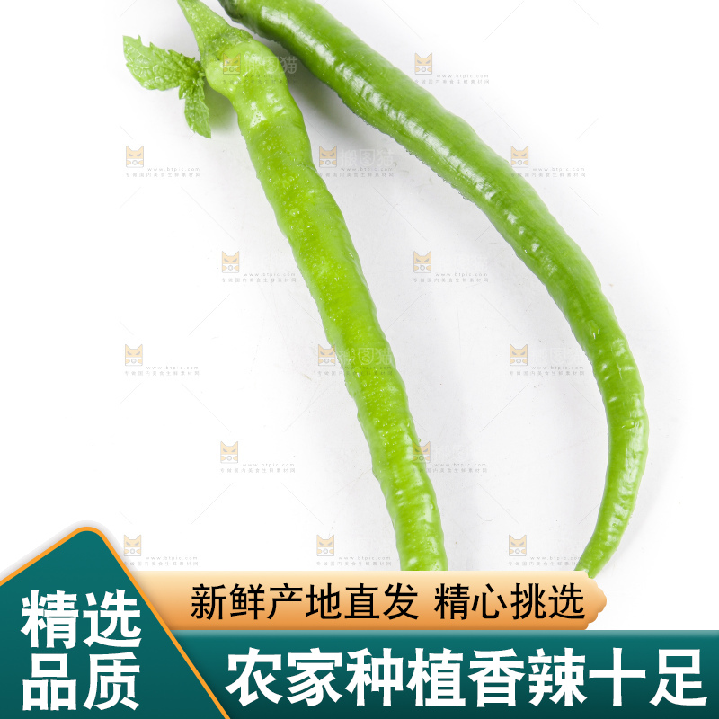 白底上的二荆条辣椒