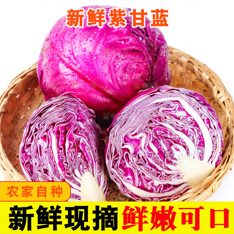 篮子里的紫甘蓝