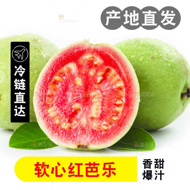 白底上摆放着广西红心芭乐