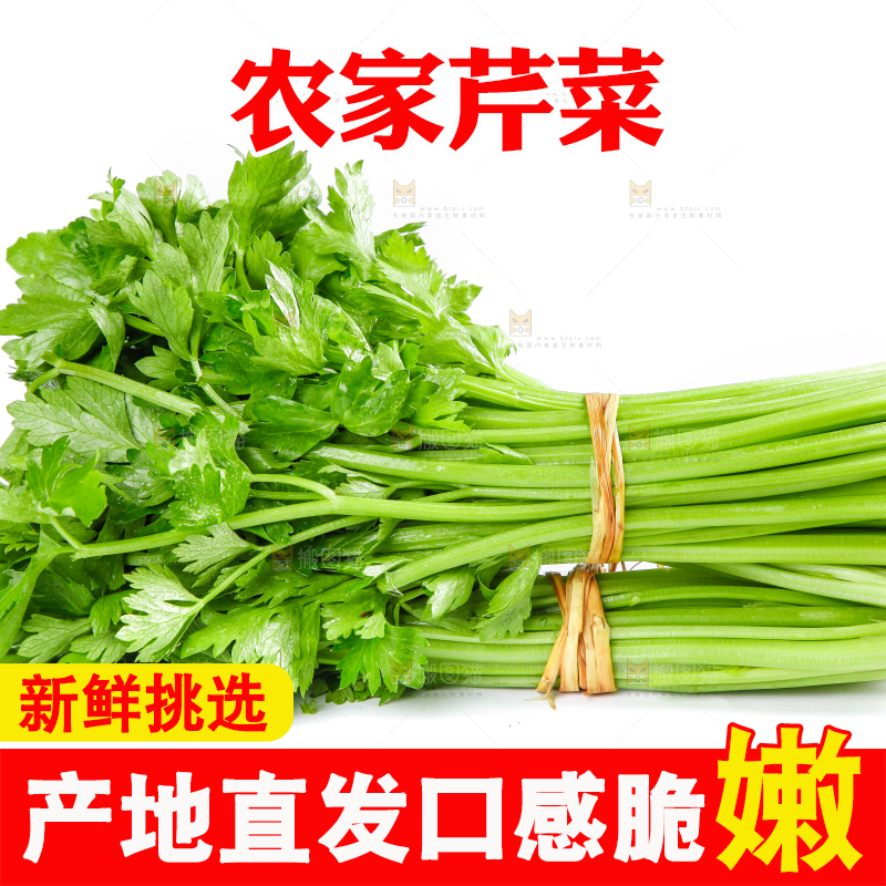 白底上堆放着香芹