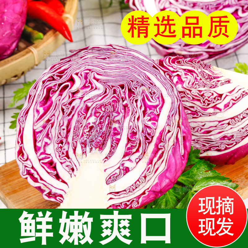 格子底上放着甘蓝