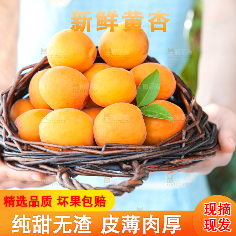 手里拿着一篮黄杏