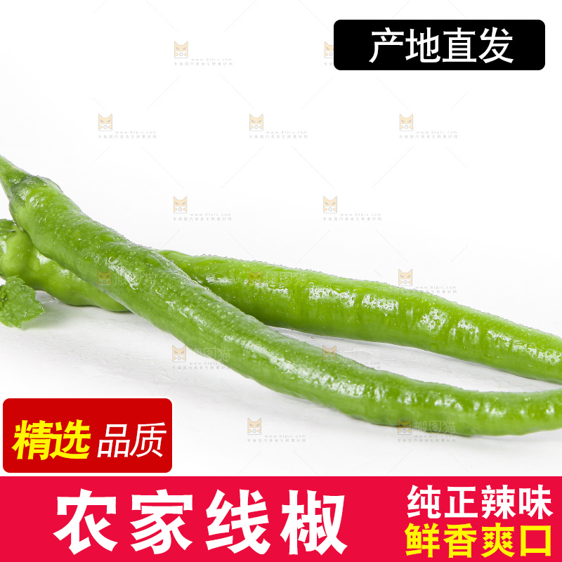 白底上的二荆条辣椒