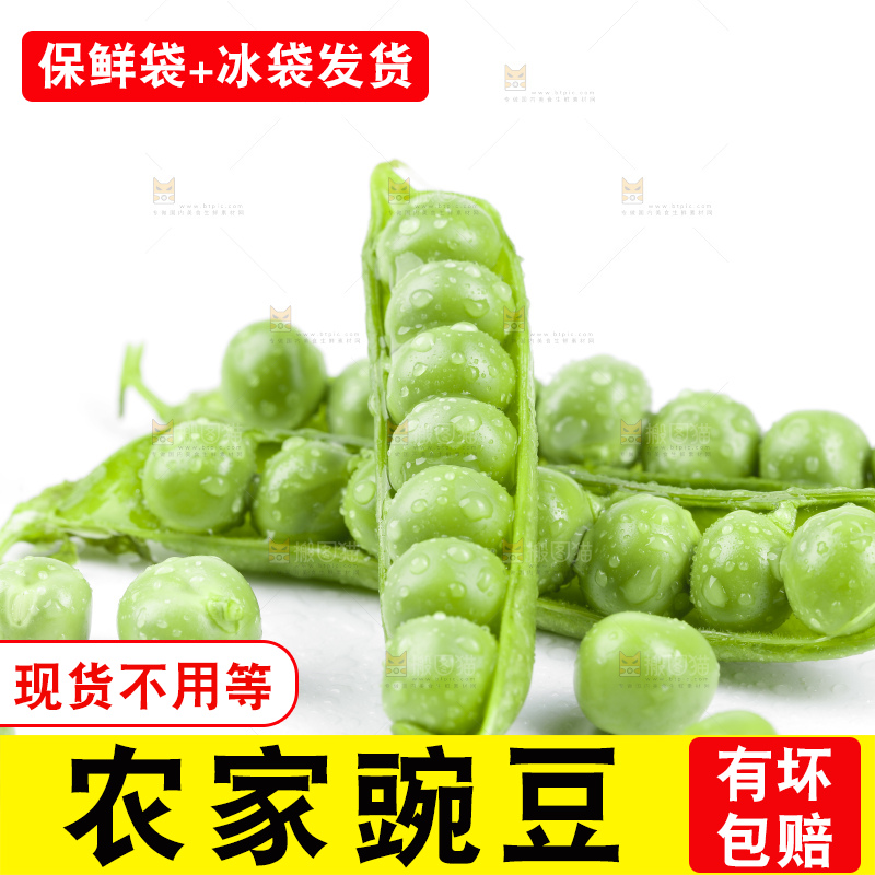 白底上放着豌豆荚