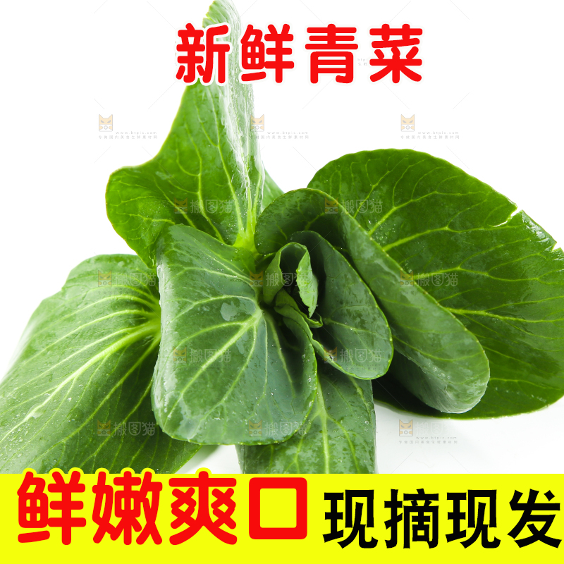 白底上放着青菜