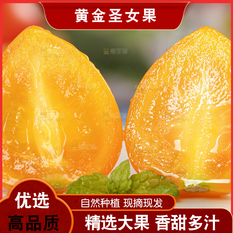 白底上摆放着山东黄金小番茄