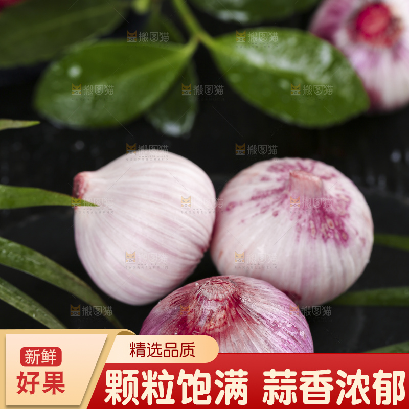 黑底上放着独蒜头