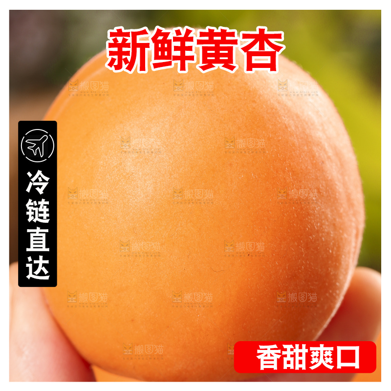 手里拿着凯特杏