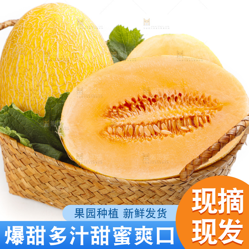 手里提着一篮冰火蜜瓜