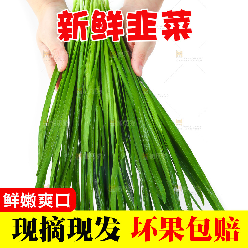 手里拿着一把韭菜