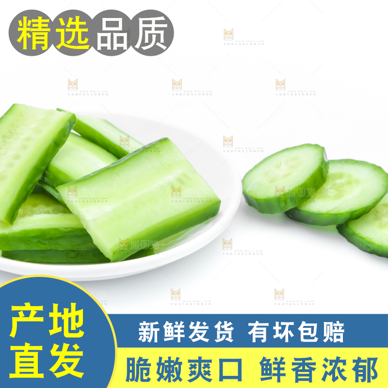 白底上放着切开的新鲜小黄瓜